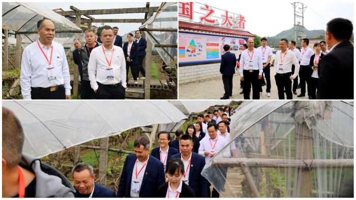 首页-NG视讯厅真人官方网站