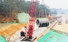 thumb_240_150_20250224062917297