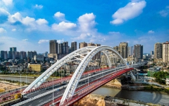 thumb_240_150_1766461844781112